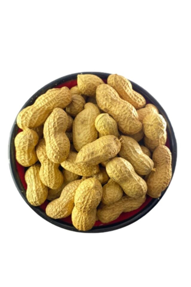 400 gram tuzlu kabuklu fıstık