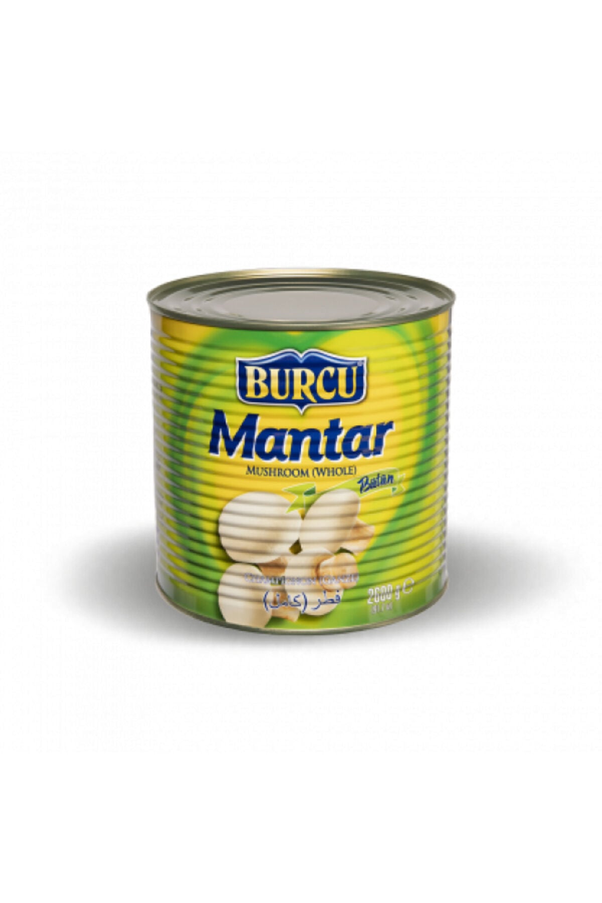 2600 gram burcu bütün mantar