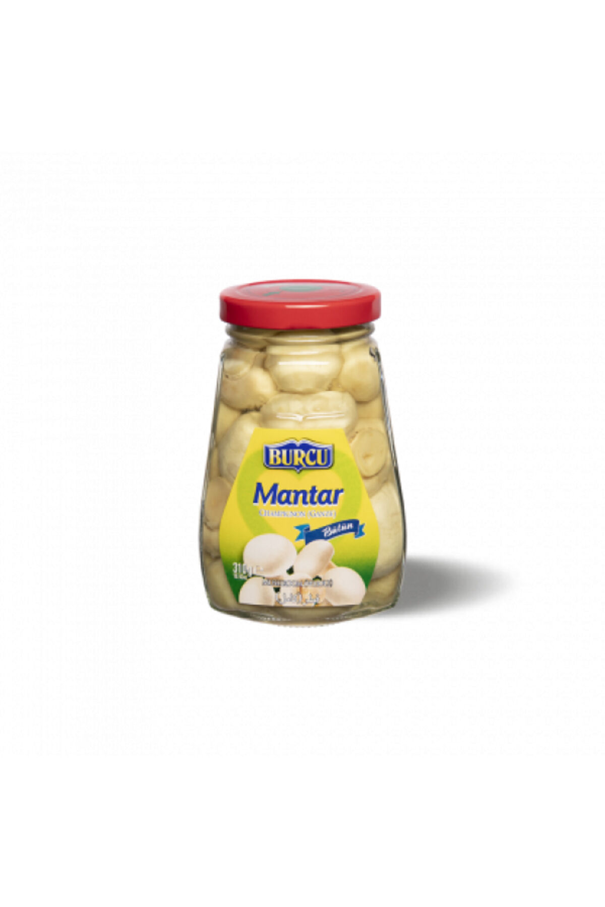310 gram bütün mantar