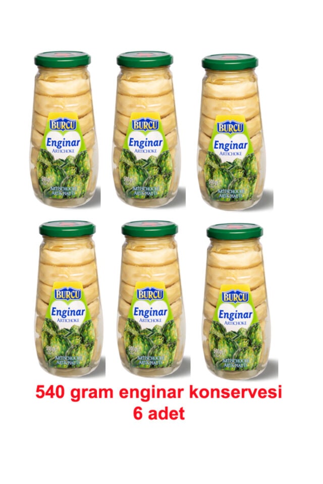 Enginar Konservesi 540 gramlık 6 adet